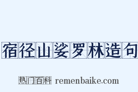 宿径山娑罗林造句是什么意思的图片
